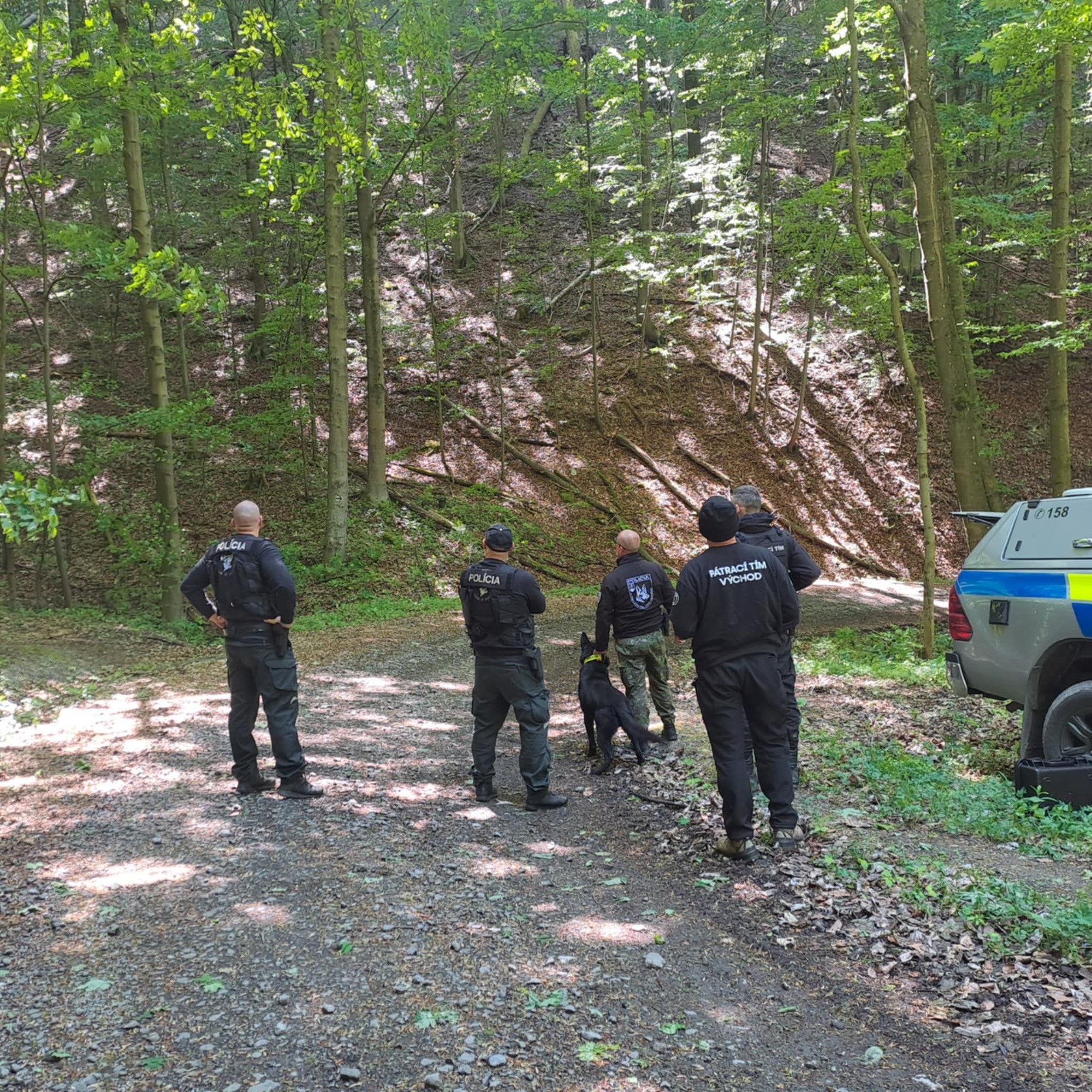 Nezvestnú Luciu hľadal pátrací tím, policajti aj psovodi. 