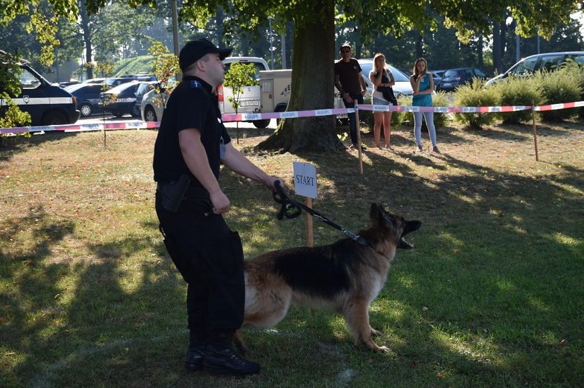 Jedną z konkurencji praca węchowa