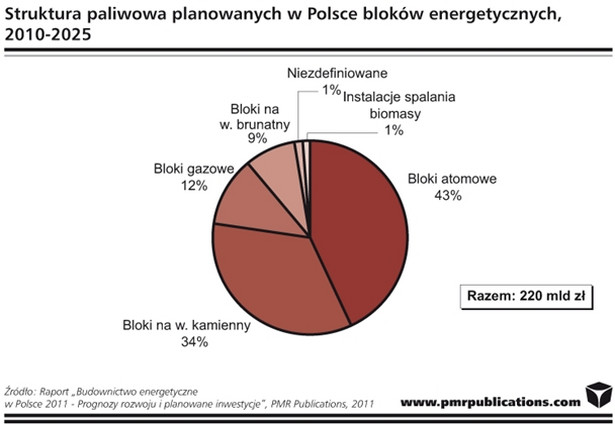 Struktura paliwowa bloków energetycznych planowanych w Polsce