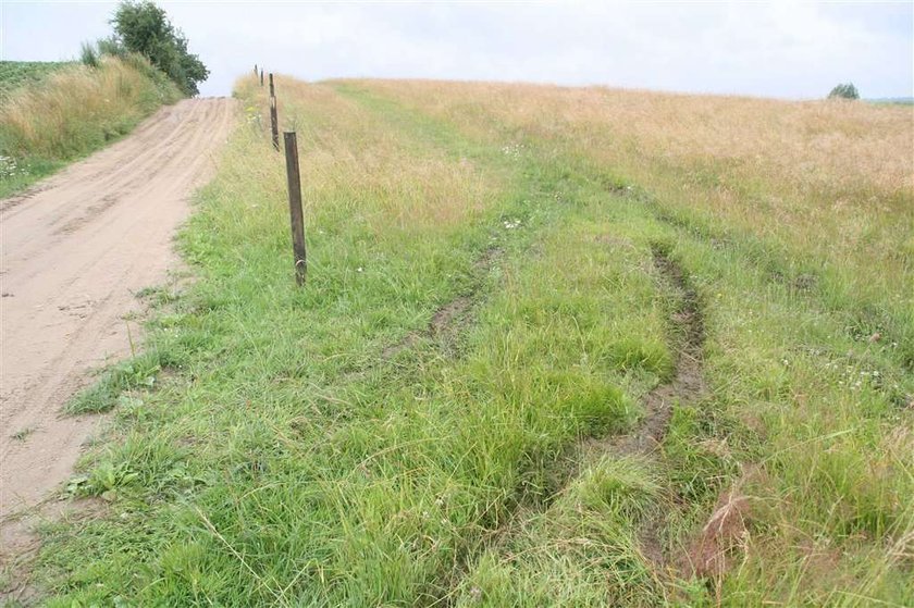 Szajka rabusiów doi nocą moje krowy