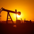Na rynku ropy wschodzi słońce. To za sprawą OPEC i Francji