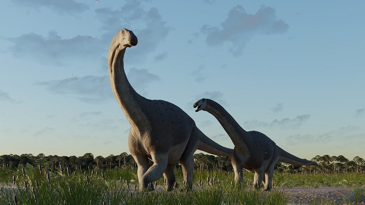 Odkrycie nowego gatunku dinozaura w Patagonii