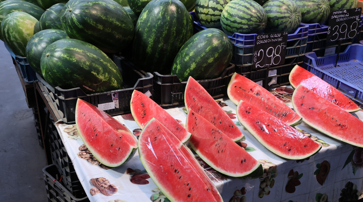 20-30 százalékkal emelkedett a görögdinnye ára tavalyhoz képest / Fotó: Ringier-archívum