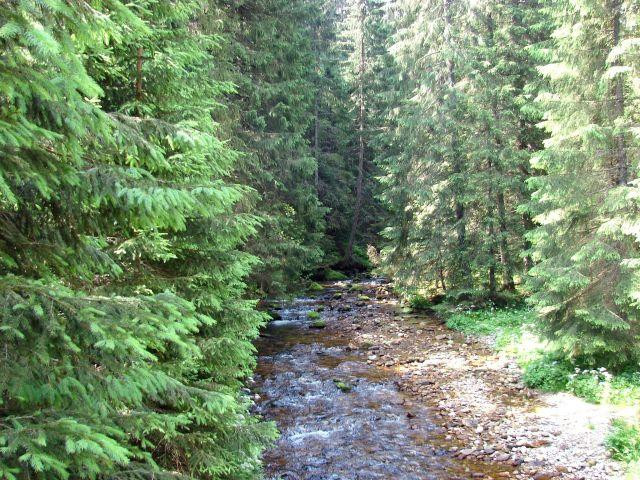 Galeria Polska - Tatry - wycieczka na Grzesia i Rakoń, obrazek 1