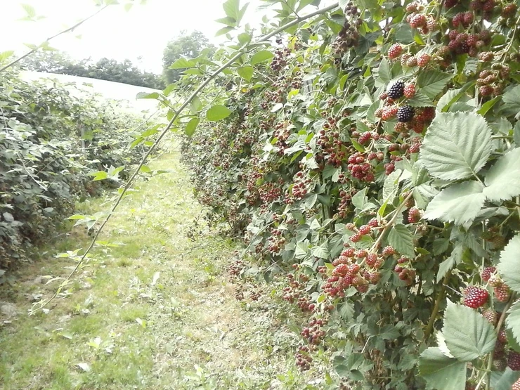 a2Lk9kpTURBXy84ZmMwZDdlZWM3N2U1NWEzNTI5NzZjOWJkYjMxMmVkNi5qcGeRkwLNAuQAgaEwBQ