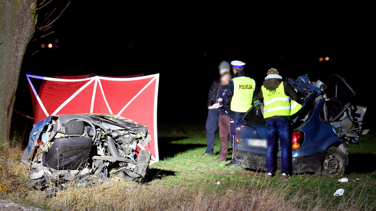 Nowa Wieś. Po zderzeniu z dzikiem prowadzona przez 25-letniego mężczyznę toyota zjechała z drogi i uderzyła w drzewo