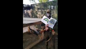 A video shared by the zoo shows a soldier thanking them for the peacocks.VK/Lipetsk Zoo