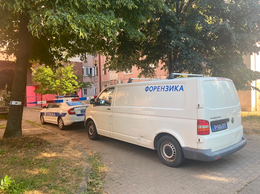 Bežanijska kosa hronika