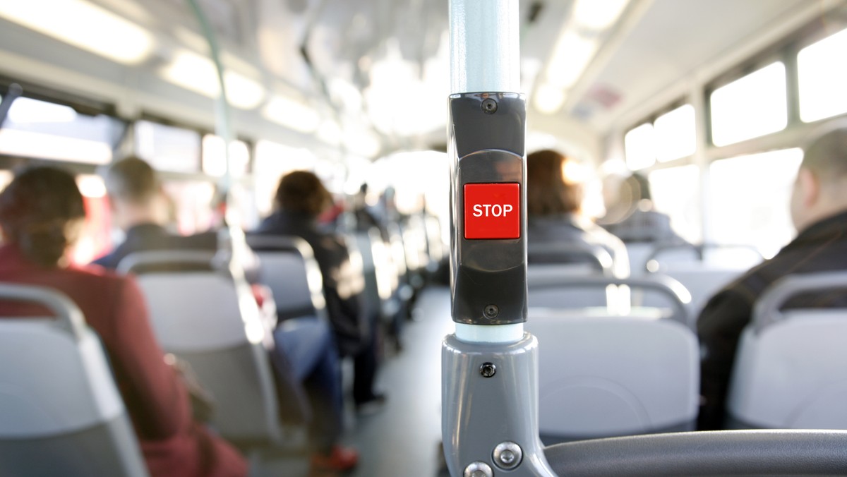 Kursy autobusowe do atrakcyjnych turystycznie miejscowość woj. świętokrzyskiego, m. in. Bałtowa, Krzemionek i Ujazdu, skorelowane z kursami pociągów z Kielc do Ostrowca Św., zakłada porozumienie zawarte pomiędzy przewoźnikiem kolejowym POLREGIO i PKS Ostrowiec S.A.