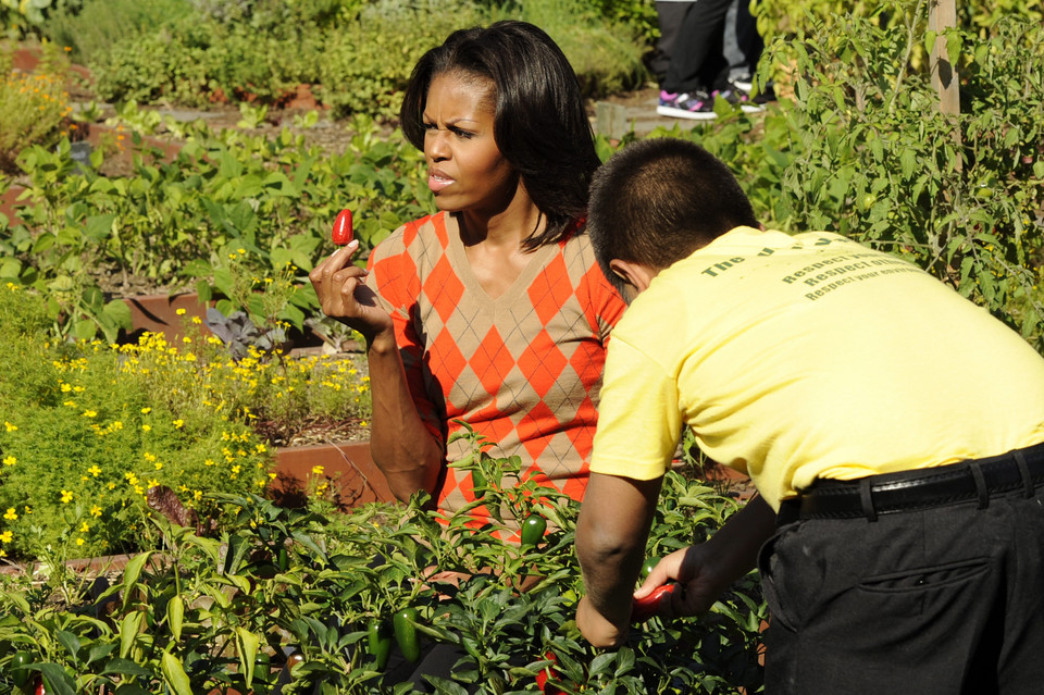 USA FIRST LADY WHITE HOUSE