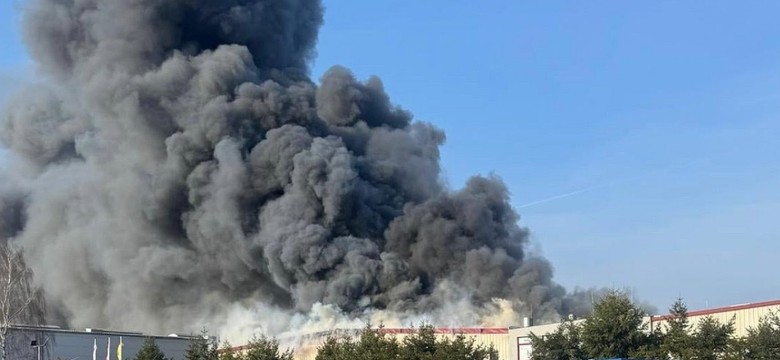 Wielki pożar koło Zielonej Góry. Płonie hala, słychać wybuchy