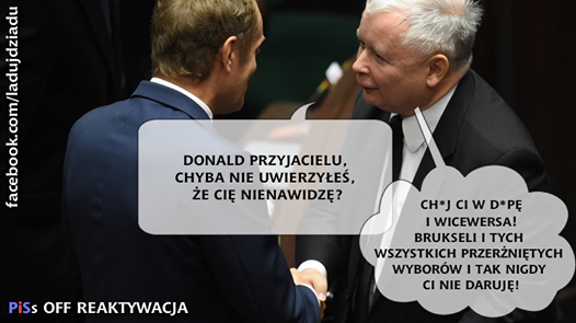 mem / PiSoff Reaktywacja