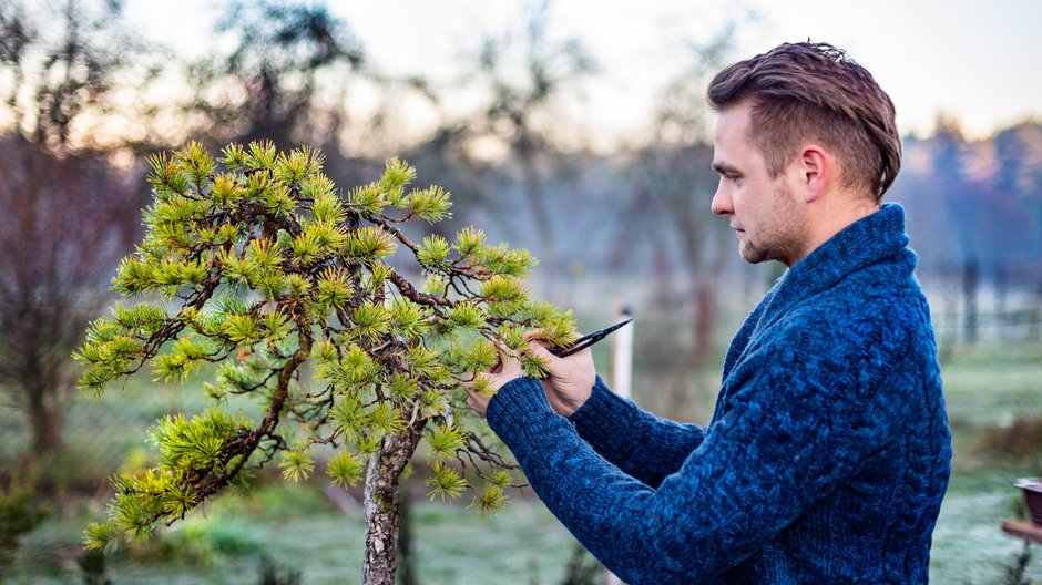 Bartosz Warwas, mistrz bonsai