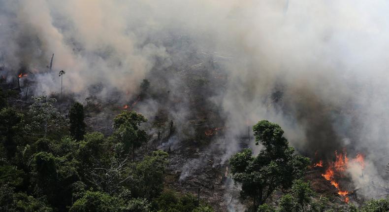 An aerial view of a tract of Amazon jungle burning as it is being cleared by loggers and farmers near the city of Novo Progresso,