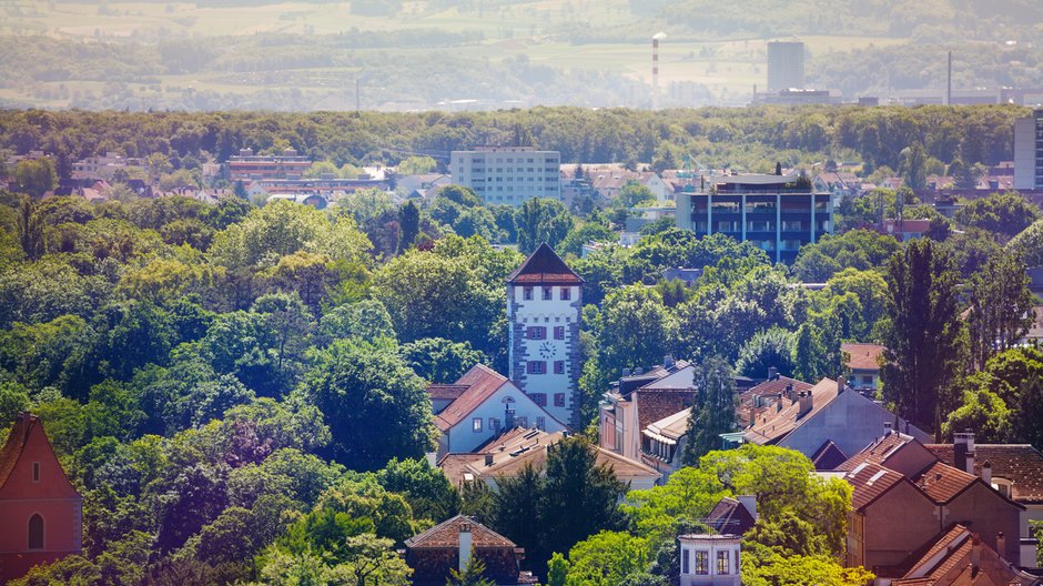 Bazylea jest światowym liderem "zielonych dachów" fot. Sergey Novikov/Shutterstock