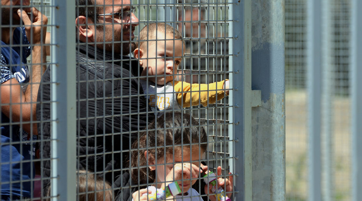 A magyar kerítés miatt hatalmasra nőtt a menekültek száma Belgrádban / Fotó: AFP