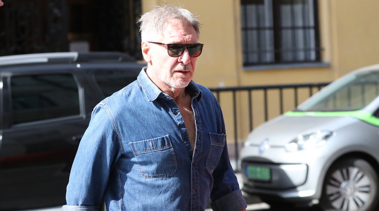 Harrison Ford/Fotó:Pozsonyi Zita