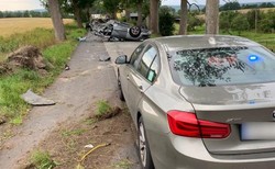 Policyjny pościg zakończony na drzewie. Nagranie szokuje