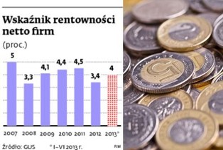 Wskaźnik rentowności netto firm obniżył się z 5 proc. w 2007 r. do 3,4 proc. w 2012 r.