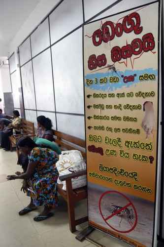 SRI LANKA. NAJWIĘKSZA EPIDEMIA DENGI OD LAT