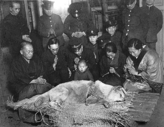 Hachiko zmarł w marcu 1935 r. Na zdjęciu Yaeko Ueno, wdowa po profesorze i pracownicy stacji kolejowej. Fot: Wikimedia Commons.