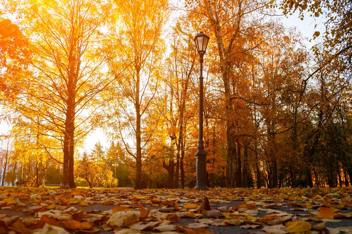 jesień, pogoda, prognoza pogody