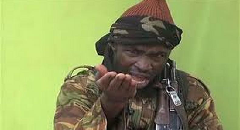 Boko Haram leader Shekau