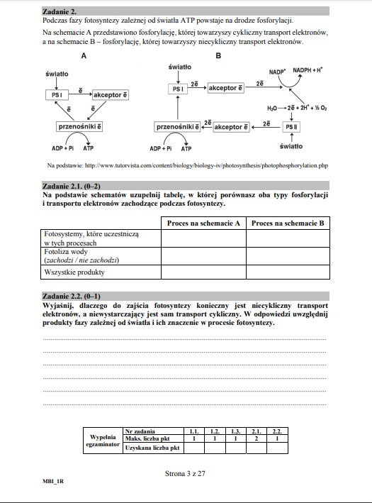 Matura 2019 Biologia Rozszerzona Arkusze I Odpowiedzi Wiadomosci