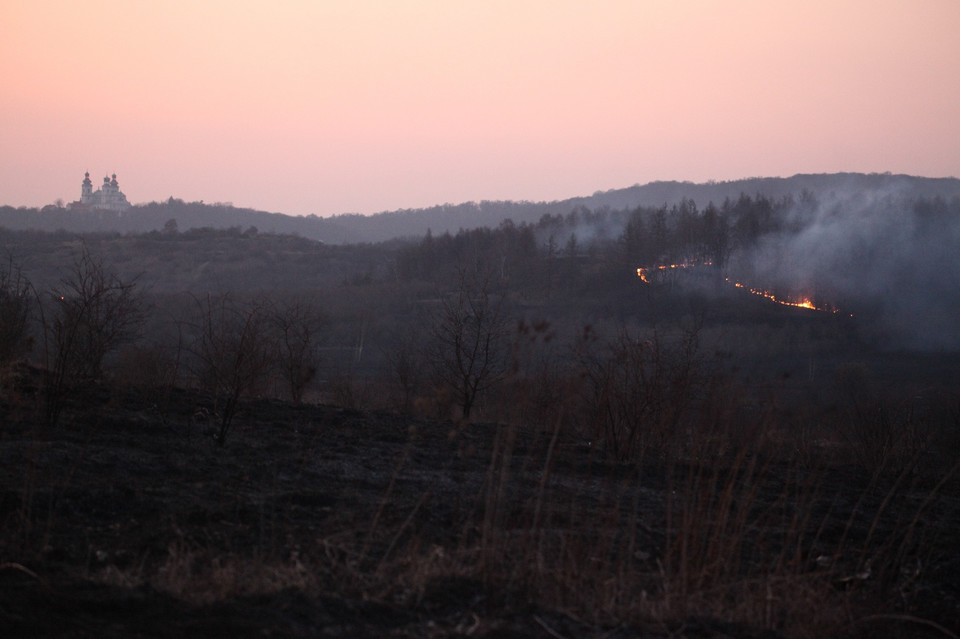 Pożar traw na krakowskim Ruczaju, Fot. Łukasz Boroń/Daj znać!