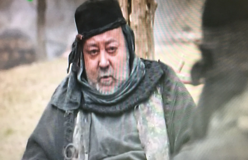 Bogoljub Mitić Đoša u seriji "Nemanjići"