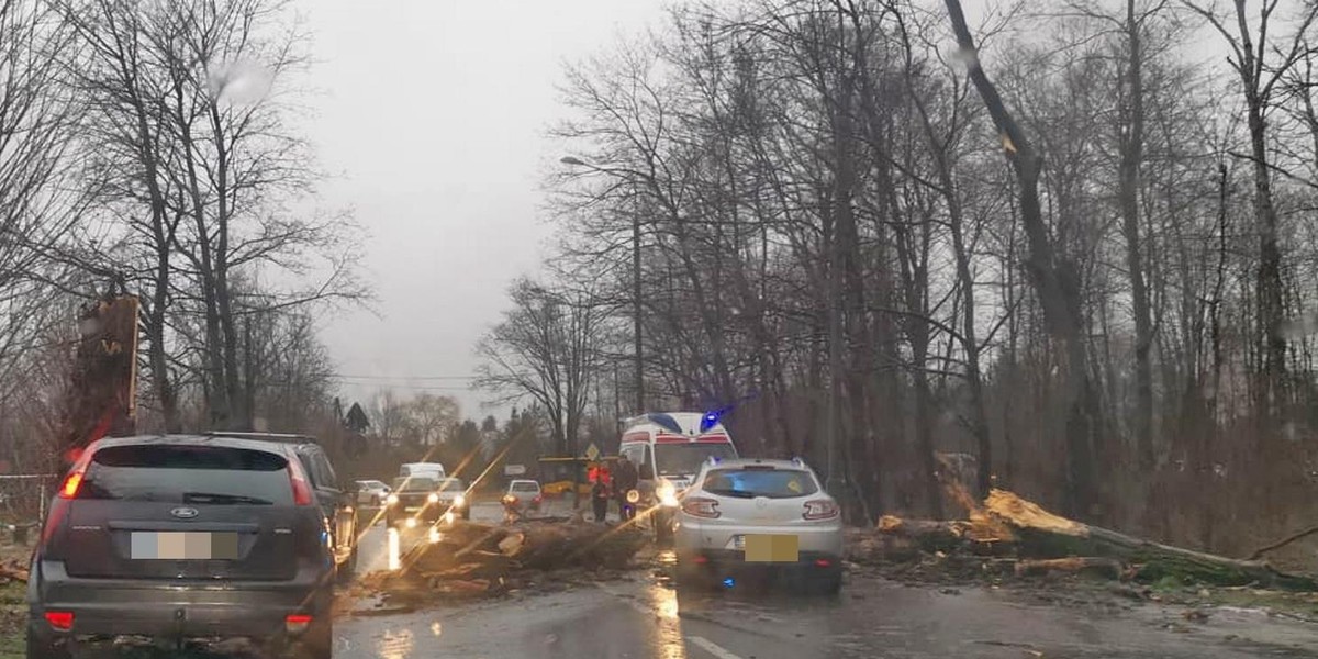 Wiatr szaleje po województwie łódzkim. Drzewa przygniatają samochody