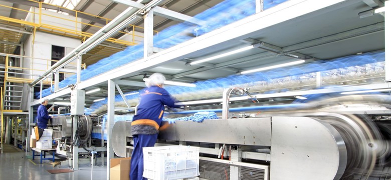 Praca jest, tylko chętnych brak. Na ratunek roboty