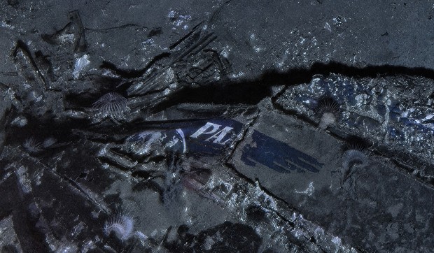 Ostaci aviona posle 74 godine nađeni u Portoriku