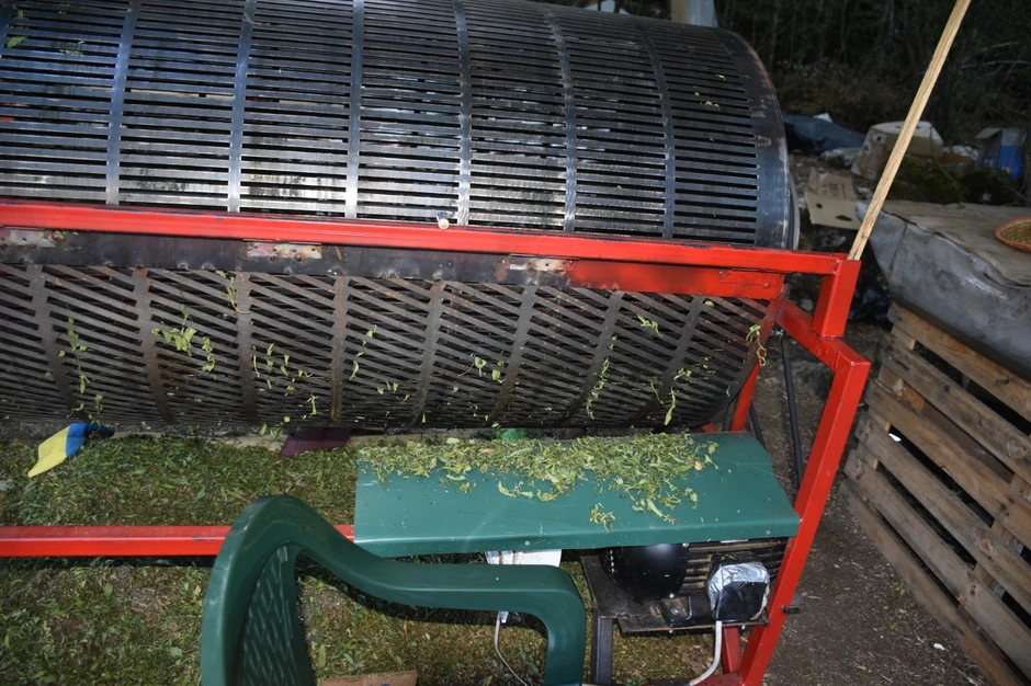 Plantaža marihuane u Crnoj Gori