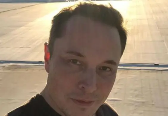 Elon Musk chce zająć się produkcją słodyczy. Poinformował o tym na Twitterze