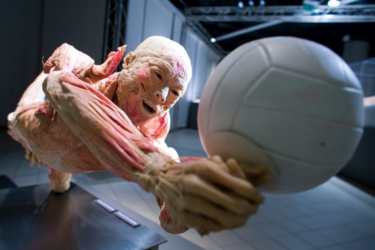 Efekt jest zaskakujący. Ludzkie ciała są bardziej podobne do manekinów, przedstawiających zwłoki pozbawione skóry