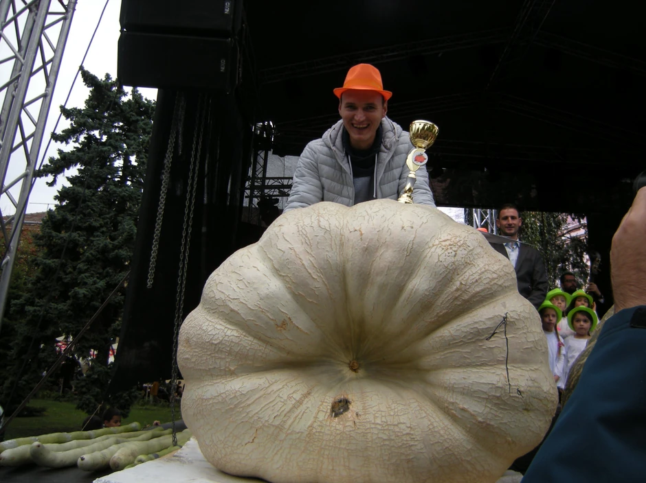 Milan Desnica, apsolutni rekorder "Dana ludaje"