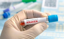 Wzrost zachorowań na COVID-19. W dużej mierze odpowiada za to KRAKEN