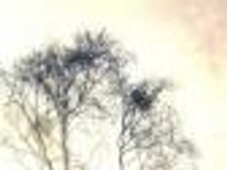 Boris Akunin 'Pory roku' - recenzja