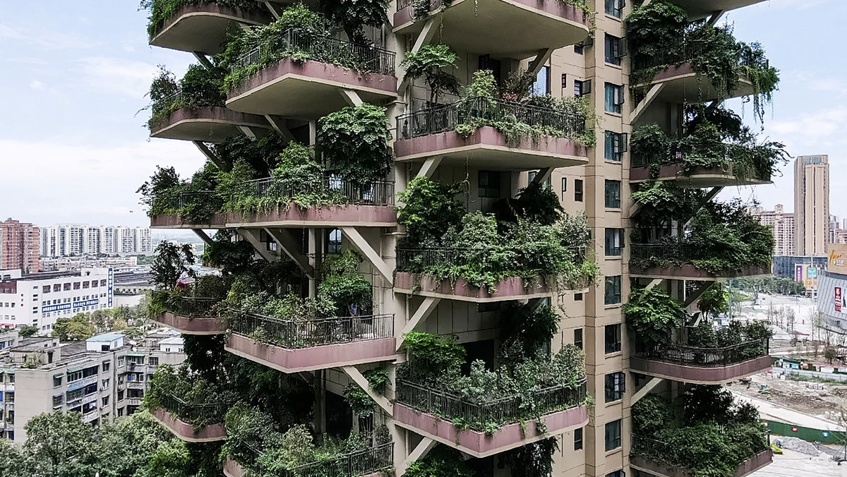 Osiedle mieszkaniowe pochłonięte przez dżunglę, Chengdu, Chiny