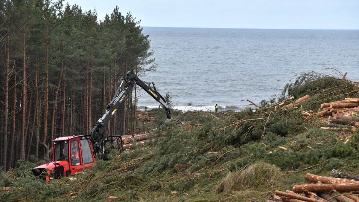 Gdynia: powstają dokumenty ws. wydobycia bursztynu na Mierzei Wiślanej