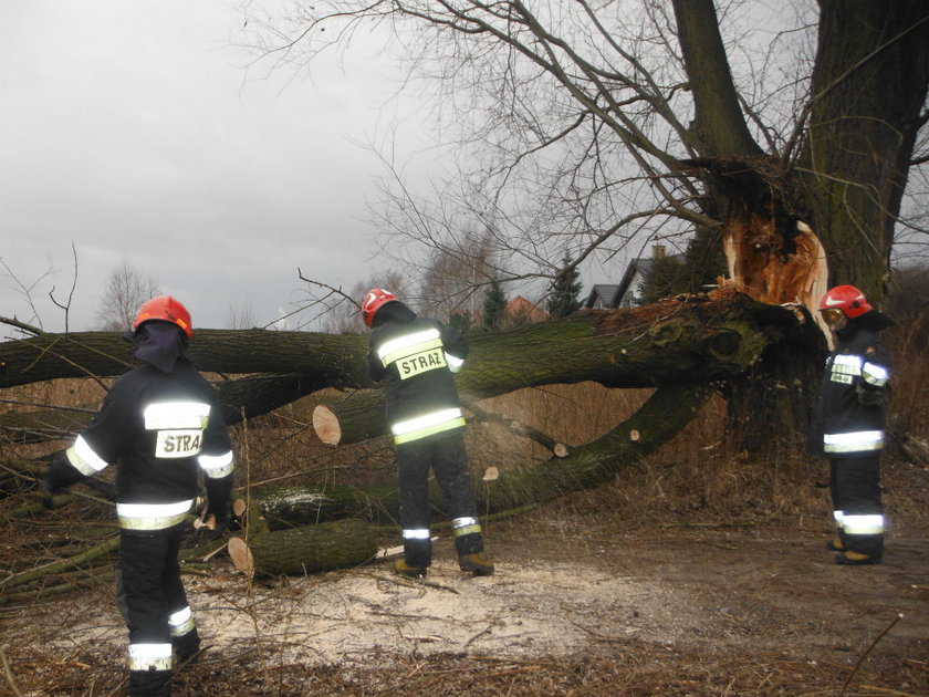 Wichury nad Wielkopolską