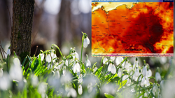 Sensacyjna prognoza IMGW na weekend. Padnie rekord ciepła? 18 stopni to dopiero początek