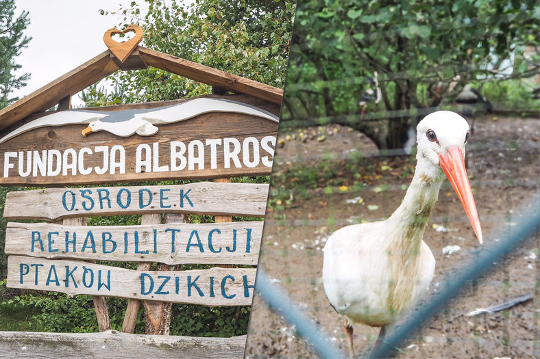 Ośrodek fundacji "Albatros"