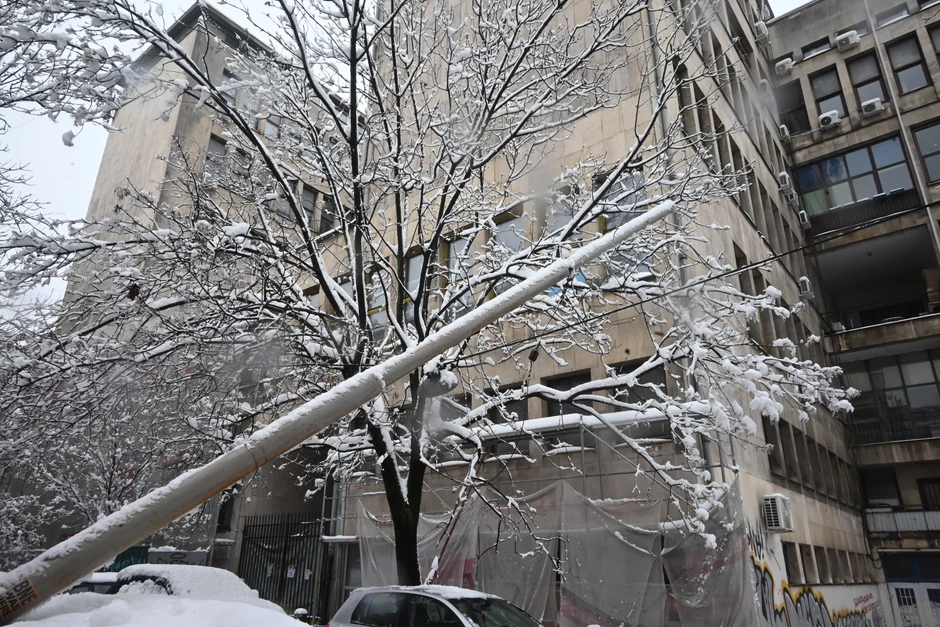 Pala bandera u Siminoj ulici