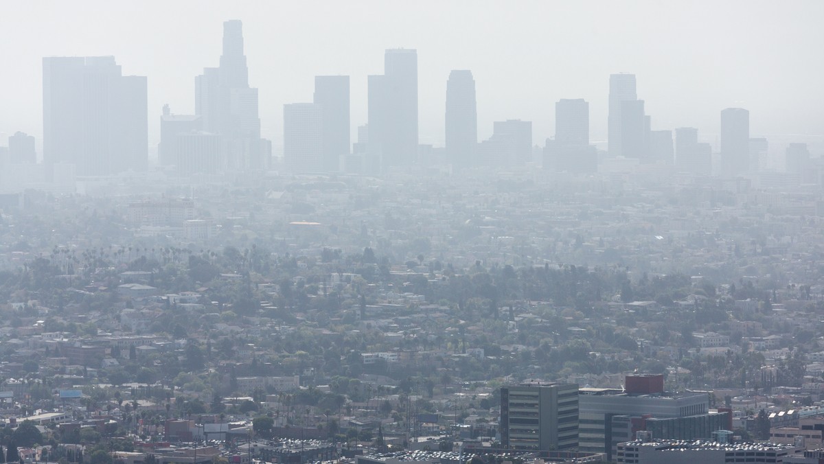 Szokująca zbrodnia w Los Angeles. Przyczyną miało być zaćmienie Słońca