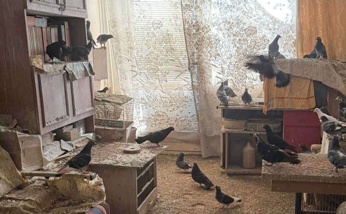 Koszmar na osiedlu w Toruniu