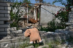 Wywiad wojskowy: Rosja ma plan na 120 dni wojny