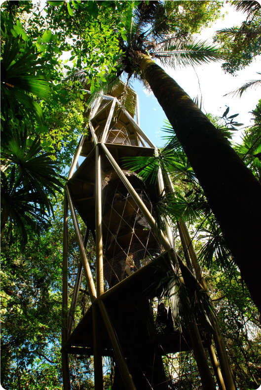 Wieża Panama Rainforest Center 