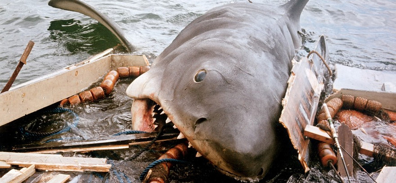 Steven Spielberg żałuje, że jego "Szczęki" przyczyniły się do rzezi rekinów